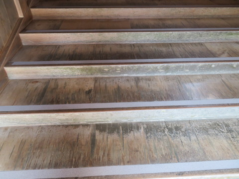 ��Ƨ���̤�������ʿ���γ���