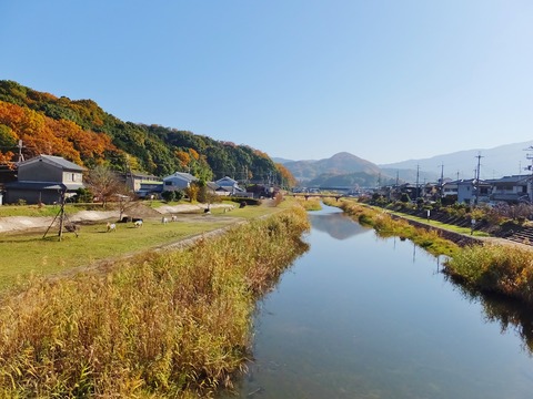 12���ϰ�ж����鳤���ػ���˸�����������ή��Ǧ��ʤ������˻�