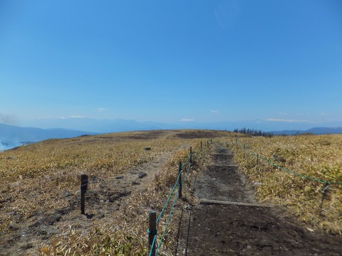 Ãæ±û¤Ë¾è°È³Ù¡¢±¦¼ê¤ÏÃæ±û¥¢¥ë¥×¥¹