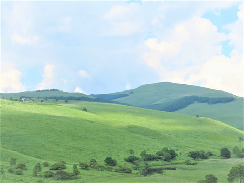 £Ì¸¥±Êö¹â¸¶