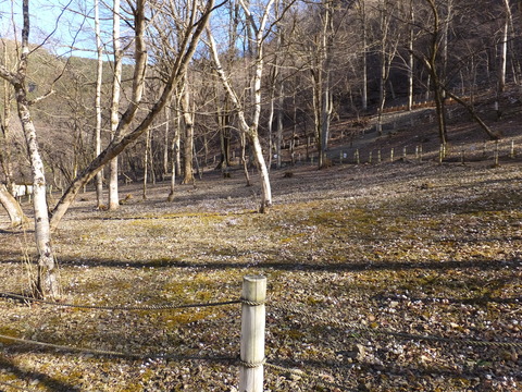 00�����̤���ʬ��