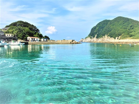 ÇðÅç Á¥Î¯¤Þ¤ê - ¥³¥Ô¡¼