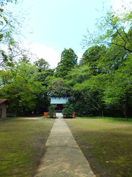 �����ҡ�����������