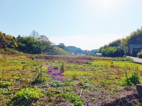 10・稚櫻神社の南裾、東から西を見通す