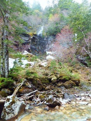 ̵̾������