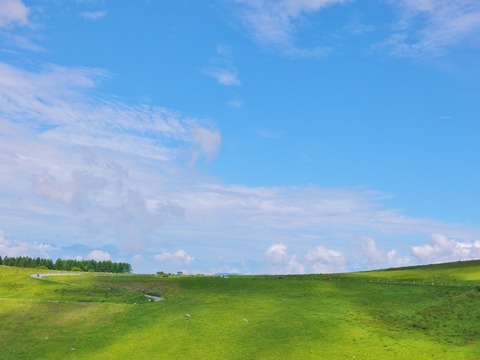 1��2014ǯ8��2��̸�����⸶