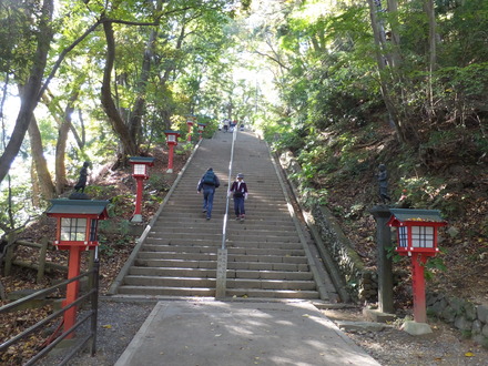 6���������ʤ��˺�