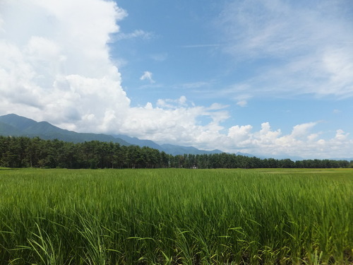 ������β�