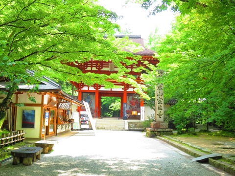 4��ϰ�硦���Фȼ�