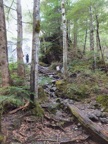 ��ʥ��ݥåȤ����ޤ���