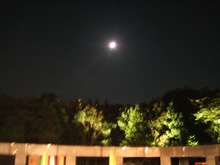 ǽ�����˾��