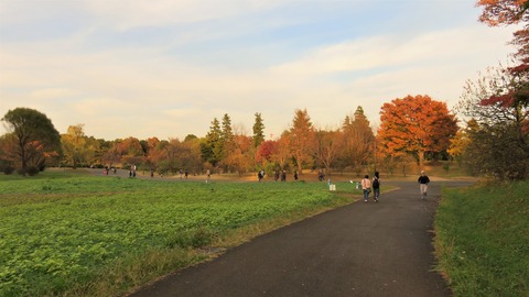 20�����µ�ǰ���ࡡ���ηʿ�