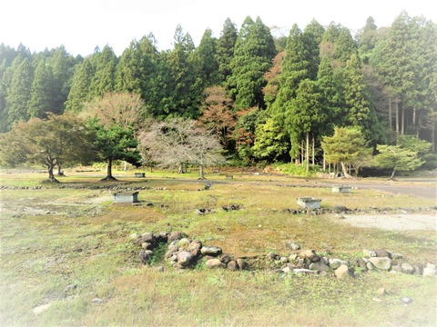 ³Æ¸Í¤Ë°æ¸Í¤¬°ì¸Ä¤º¤ÄÀ°È÷¤µ¤ì¤Æ¤¤¤¿