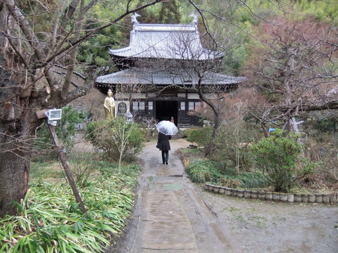 ����������Ʋ