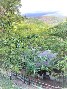 ���Τ�������־���