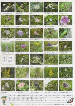 8��Ȭ�缾���־���΢