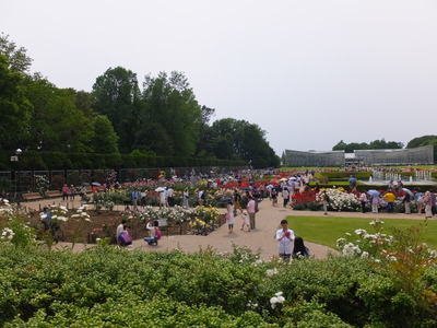 2014�Х�ե����ƥ��Х�