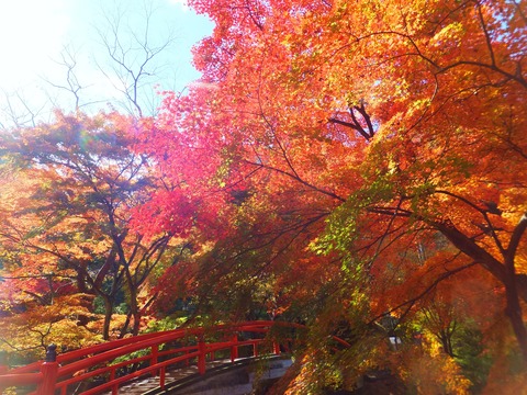 �ϼ���������������