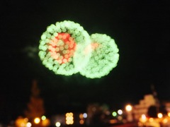 5・ぼけても幻想的