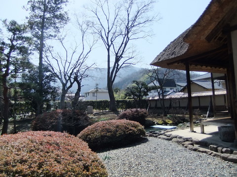 ����꤫������