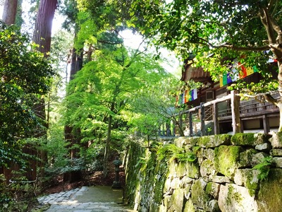 ��������Ʋ��٤����ɤΤ褦���г�