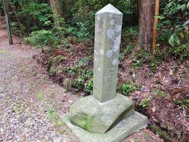 16���������˷��ġɽ���ŷ�ĸ�䰦����ƻ�ɤ�������