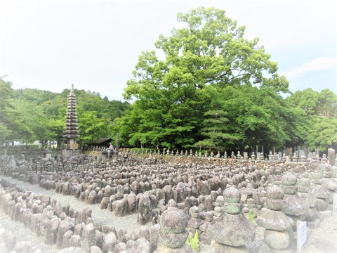 ²½Ìîǰʩ»û¡¡Ìµ±ïÊ©