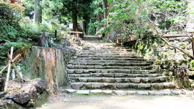 19�����α��Ф��������ℍ10���ݤ줿����600ǯ�ο����ڤ��