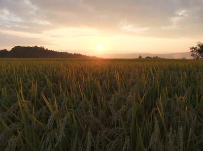 �����ͼ��