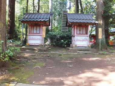 ��������ŷ�ߡ��Կ��ҡ����������Ͼ��¿���