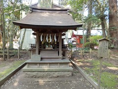 ���ҡ��ܲ��