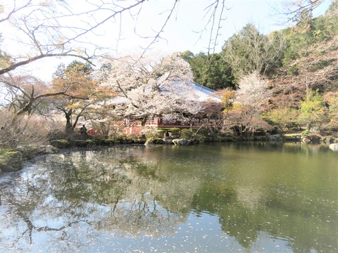 ��ݯ�֤˴Ѳ�Ʋ