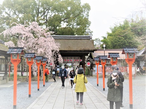 �������ȳ���