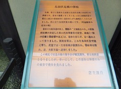 ����ϰŹƬ�ˤ���������