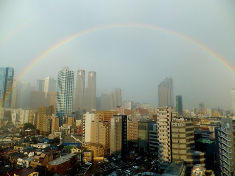 自然ってすごいなぁ