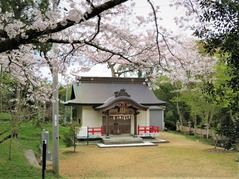 ���Ȼ����������