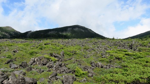 15�����Ť��ϴ䤬��ĺ�˹����롡�󤯤˼ʸϤ츽��