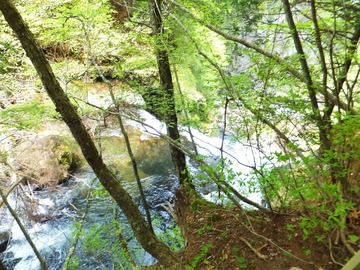 �ֽ��������