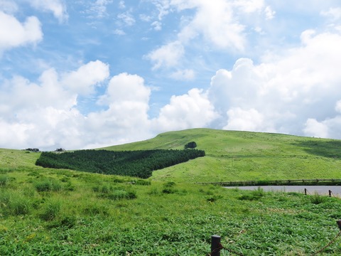 4��̸�����⸶�β�