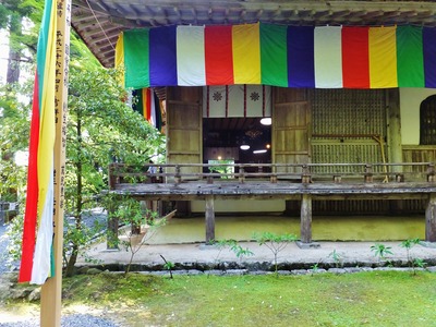 ��������Ʋ������