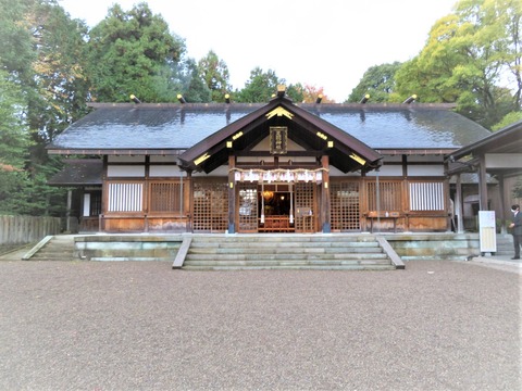 ��­���������¡�����