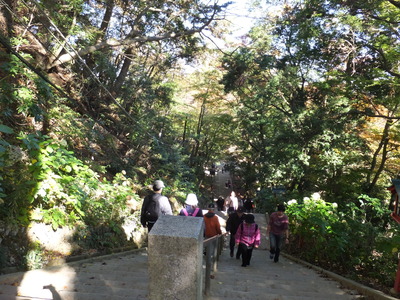 7�����ε޺��쵤��