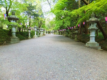 ��ǷĻ��ظ�������ƻ