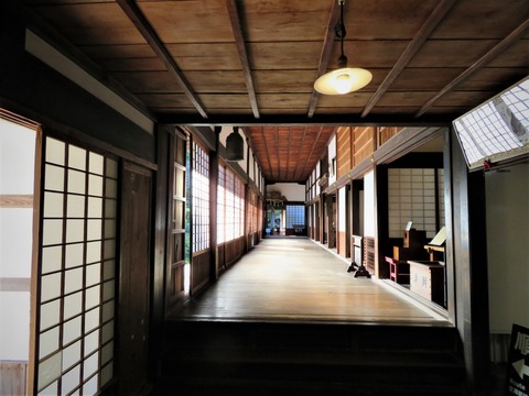 ������Ʋϭ�����Σ����