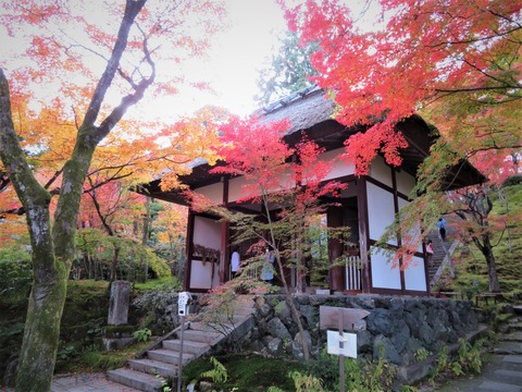 ���������β���˹���