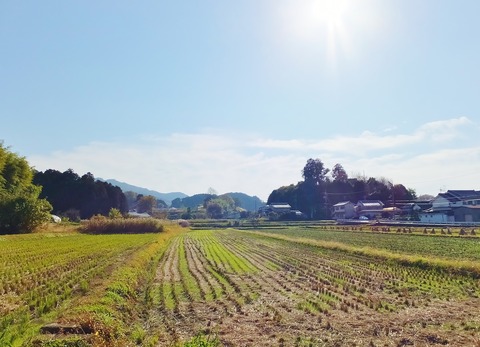 4・丘の頂上に稚櫻神社・北東から見る