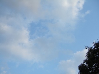 �������ζ�������®��