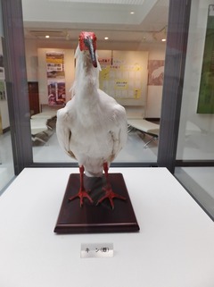 �������ܺǸ�μ���������2003ǯ��˴��