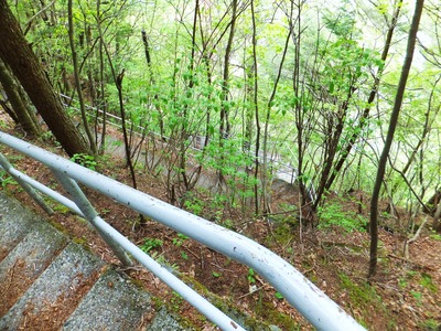 Ÿ˾��ض彽���ޤ�ε޺䤬