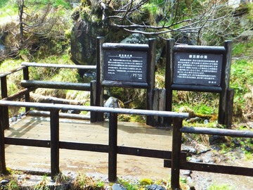 �����ĤΤ�����ֲ����츫��